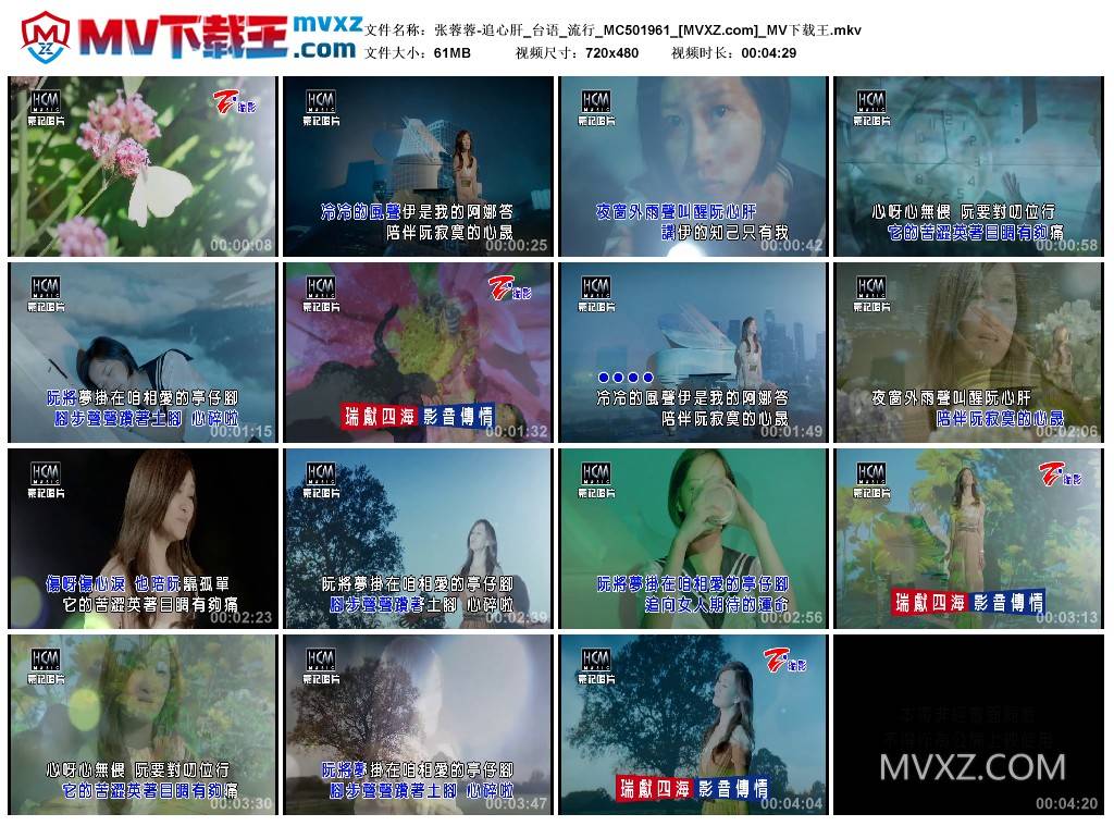 张蓉蓉-追心肝_台语_流行_MC501961